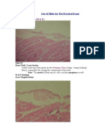 Slides For Histo Practical Exam