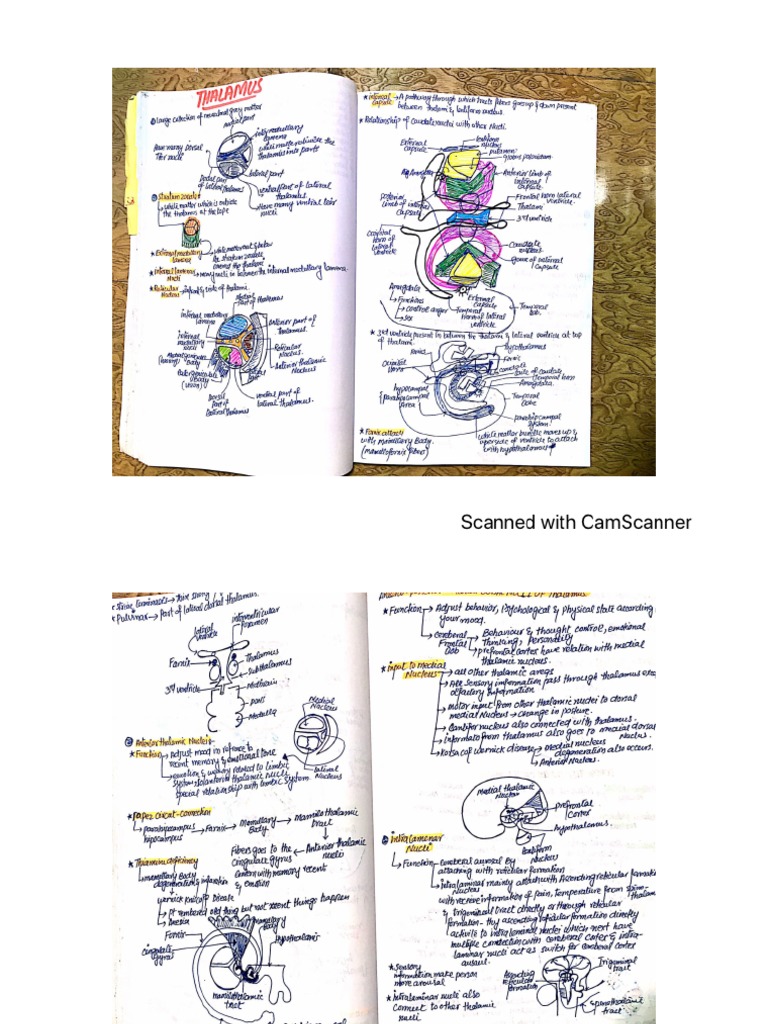 Cns Dr Najeeb Notes Part 2 Pdf