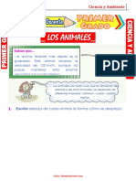 Los Animales para Primer Grado de Primaria