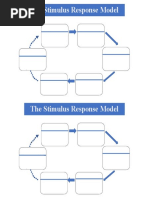 Practice Stimulus Response Model-Template