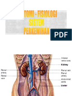 Anatomi Fisiologi Manusia - Sistem Urinaria