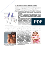 4a CLASE PDF