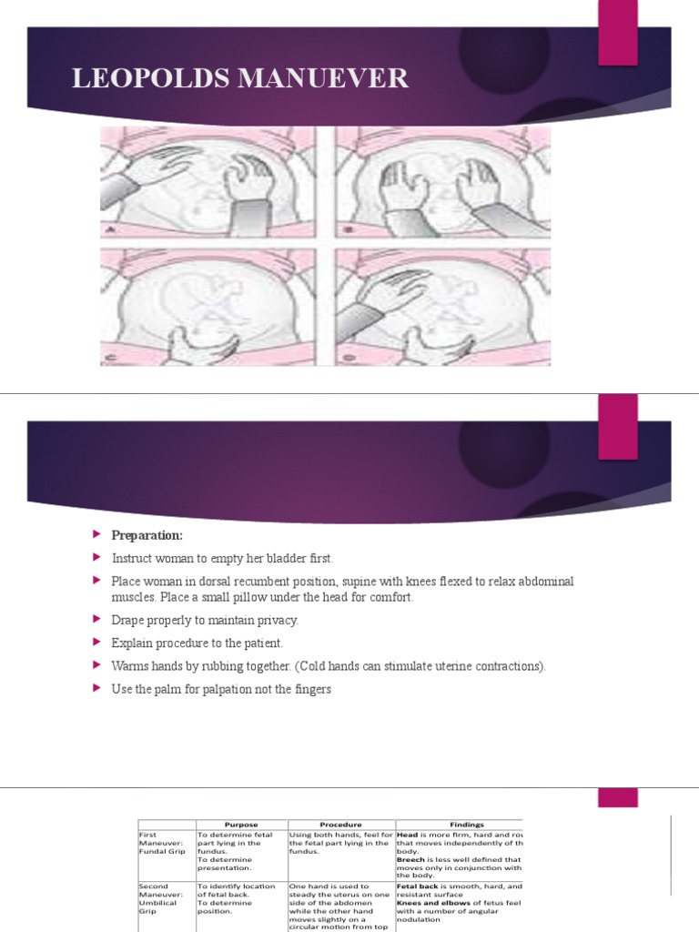 PARTOGRAPH | PDF | Uterus | Anatomy