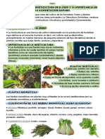 Clases Horticultura Resumen