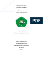 Laporan Praktikum Bioteknologi