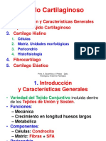 Tejido Cartilaginoso 22-23 Clase