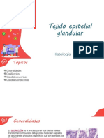 Tejido Epitelial Glandular