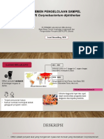 Materi Manajemen Sampel Difteri Mikrobiologi