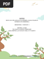 Contoh Lengkap RPPH Kurikulum Merdeka PAUD | PDF
