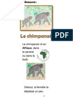 Le chimpanzé