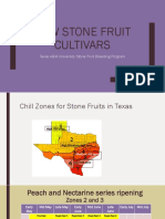 TAMU Stone Fruit Ripening