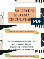 La Salud Del Sistema Cirulatorio