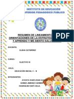 Orientaciones para La Implementación de La Acción Estratégica