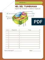 LKPD Sel Tumbuhan