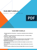Cilia and Flagella - Chapter 8 Seminar