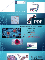 Ácidos Nucleicos