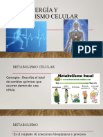 Energia y Metabolismo Celular