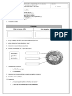 Refuerzo Geografía 6°