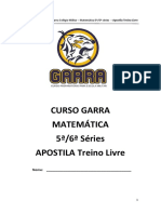 Matemática 5a 6a Série Apostila Treino Livre Completa