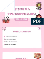 Presentacion Sistema Tegumentario