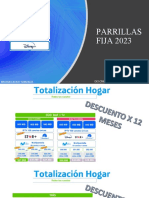 EXPLICACION DE PARRILLA - Pps