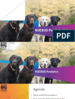 RUCKUS Analytics