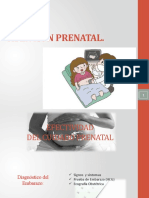 Atencion Prenatal