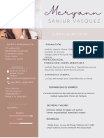 CV Mery Ann Sanjur Vásquez