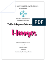 Tabla de Hongos