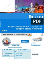 Clase 6 Membrana Celular Modelo de Organización - Transporte A Través de Membrana 2016