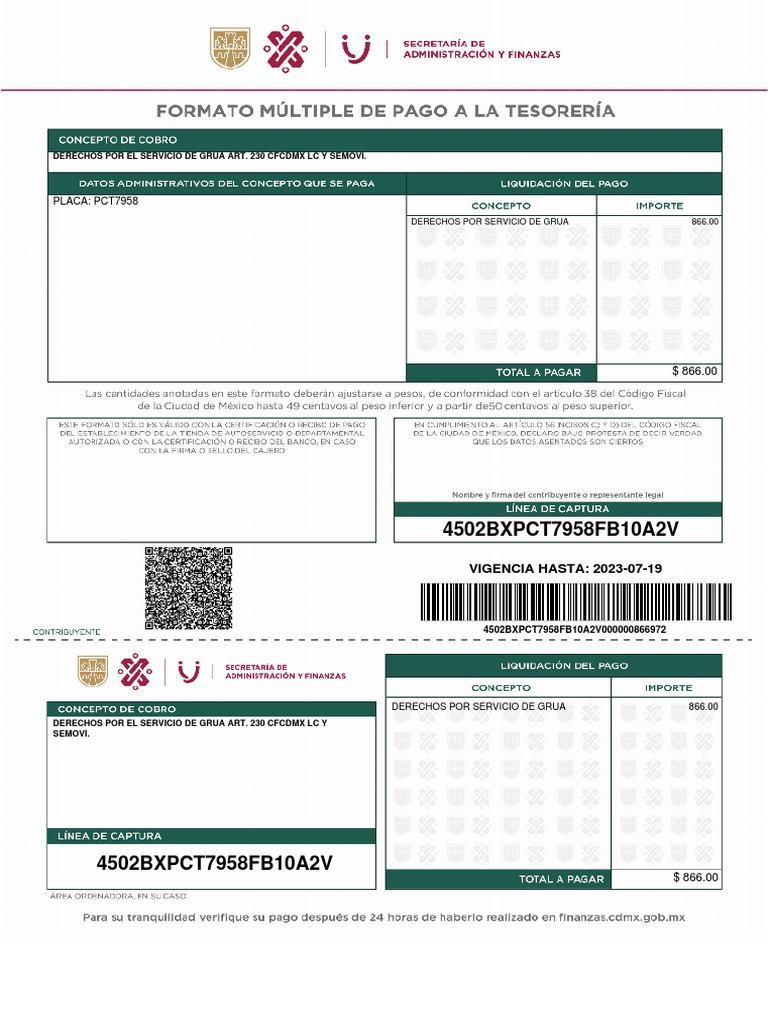 Formatos De Pago Gobierno Pdf