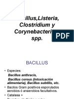Bacillus Listeria Clostridium