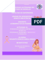 Actividad Ix - Patologia Uterina y Mamaria - Degante Ronces Karla Anahi - 6B Matutino