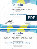 Certificado Induccin