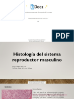 Histologia Sistema R 44610 Downloadable 3161021