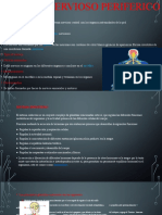 Sistema - Nervioso - Periferico Sist. Endocrino