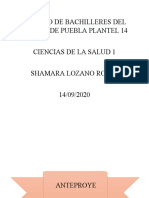 Colegio de Bachilleres Del Estado de Puebla Plantel 14