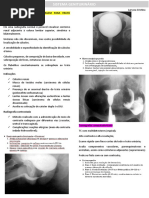 Diagnóstico por Imagem do Sistema Urinário | PDF | Rim | Imagiologia médica