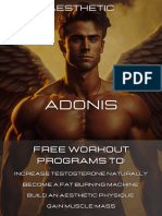 ADONIS Workout Programs