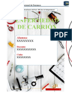 Monografia Enfermedad de Carrion