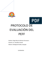 Informe Del PEFF