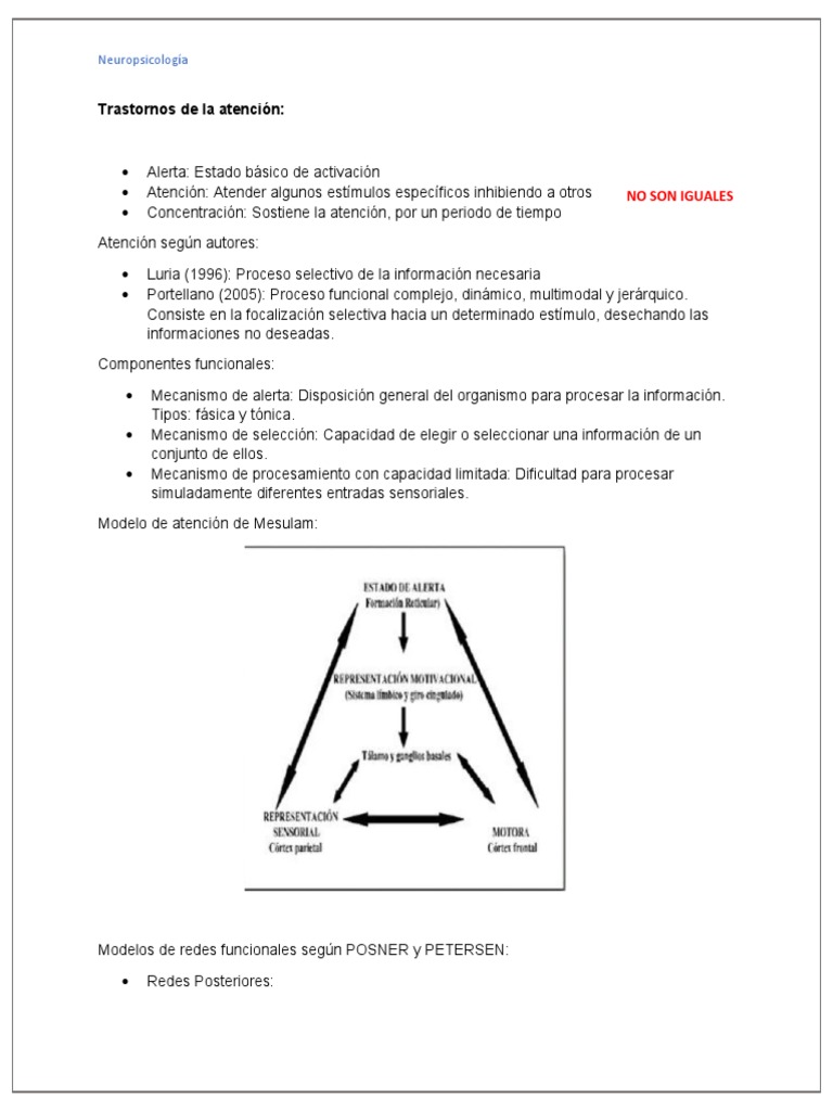 S09 s1 trastornos de la atenci n 1 pdf atenci n neuropsicolog a