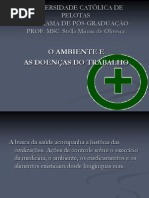 Prof. Stella - Ambiente Do Trabalho