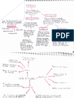 Mapas Mentales Tema 4