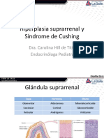 Endocrinología Ped - Suprarrenal