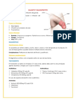 1.6 Balanitis, Fimosis y Parafimosis