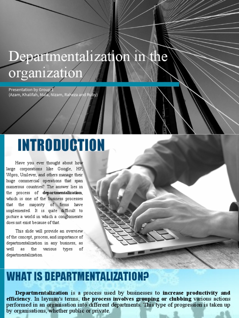 Presentation Departmentalization in Organization PDF Goal