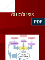 La Glucolisis (Irreversible y Reversibles)