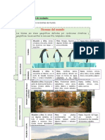 LEER, Recojo de Datos y Análisis de Resultados CIENCIA 19 JULIO