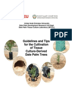 Date Farming Guidelines